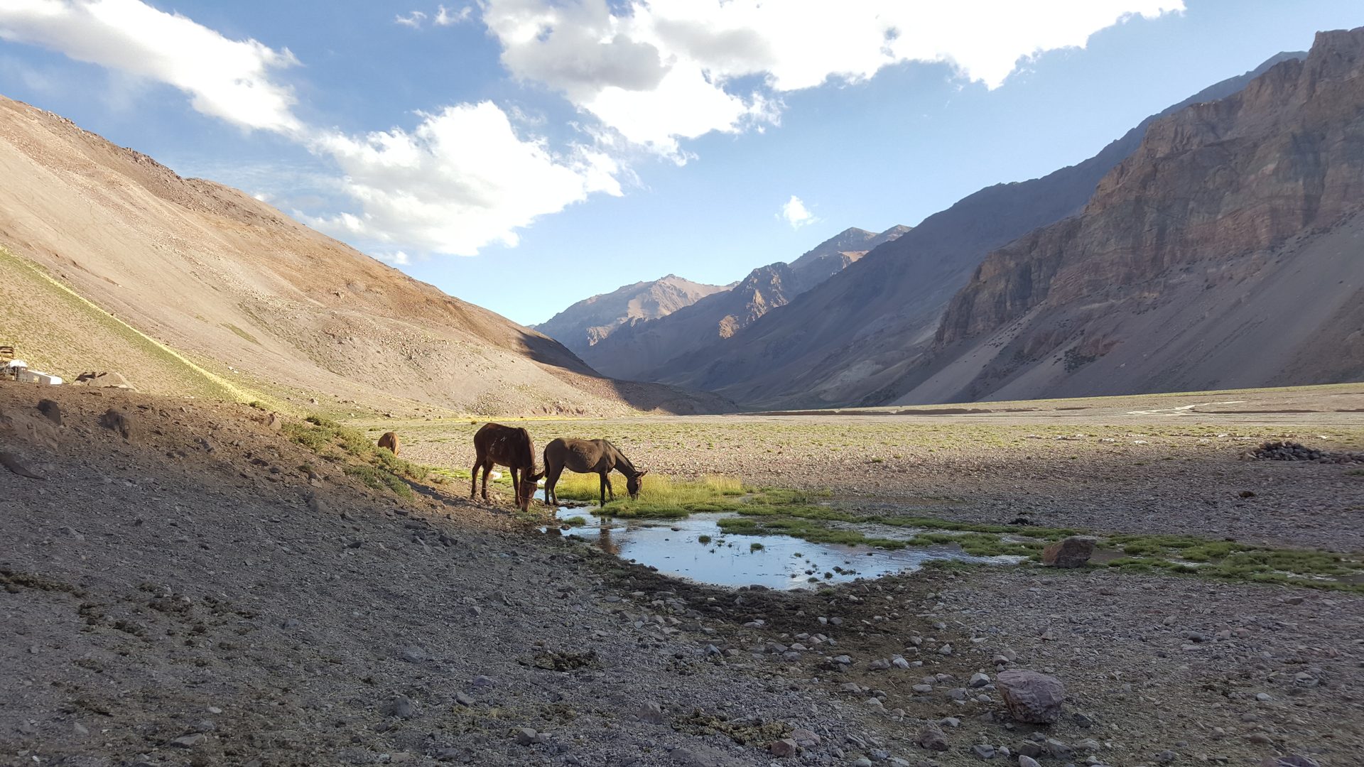 Aconcagua Summit Expedition