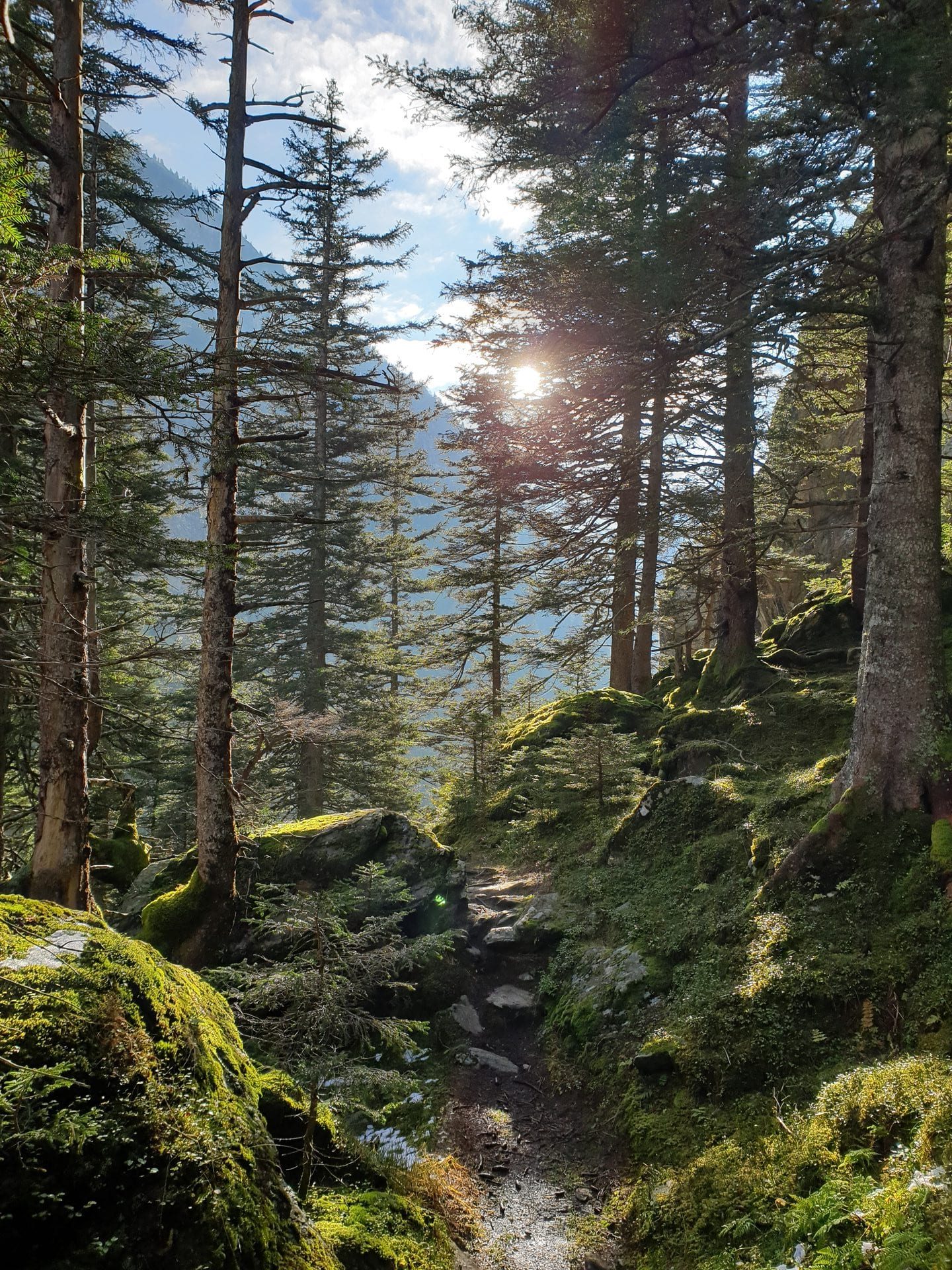 Triftbrücke from Zurich