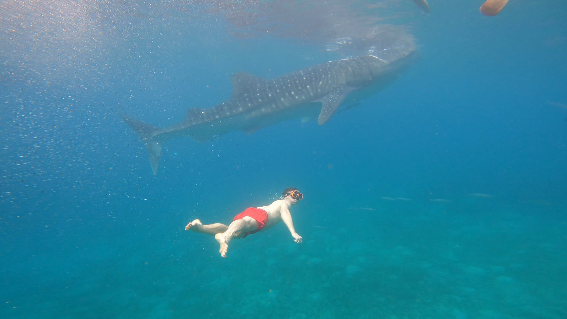 Cebu and Bohol, Philippines — 40 Hours