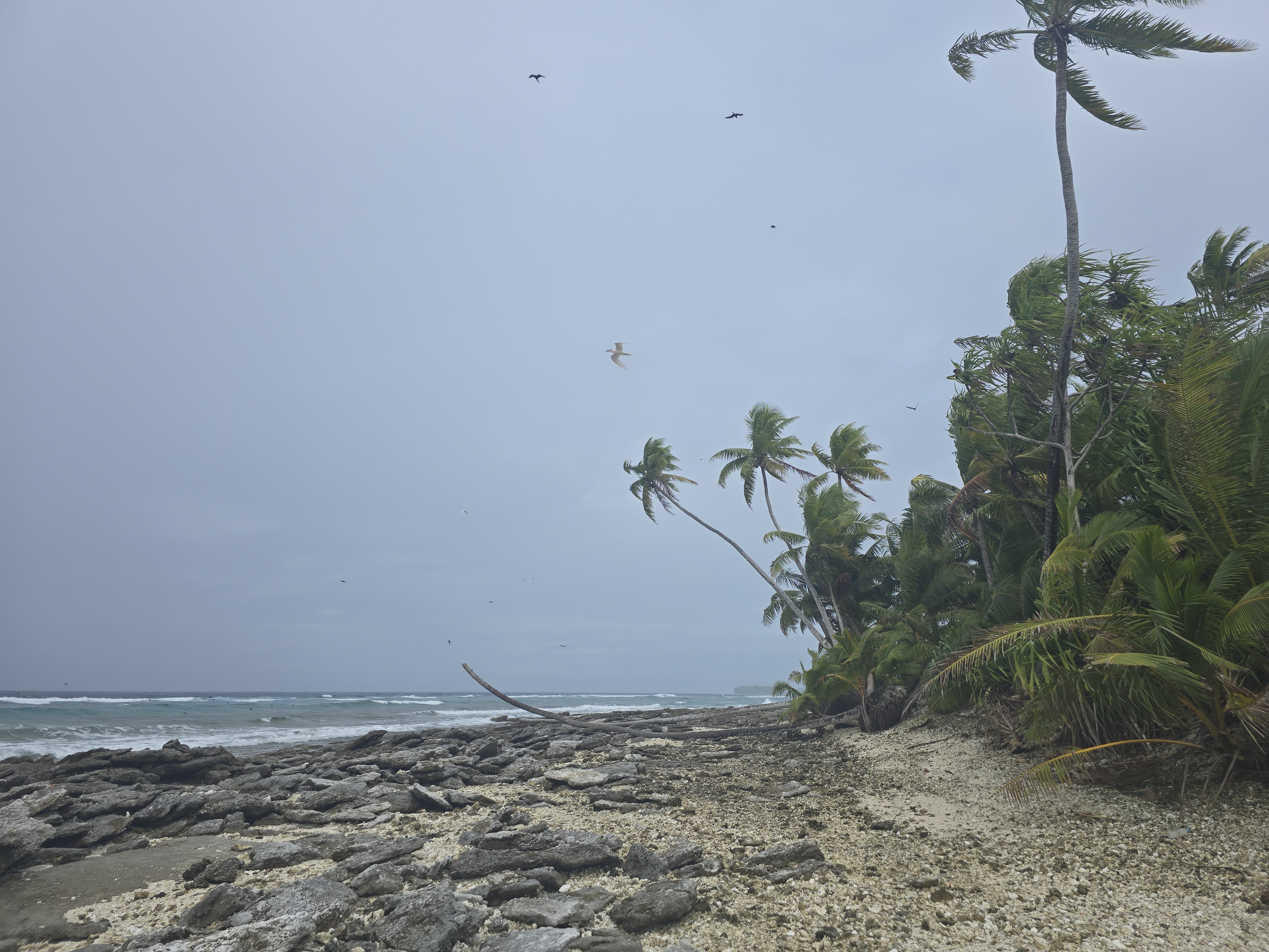 Tuvalu — The Second Least Visited Country in the World