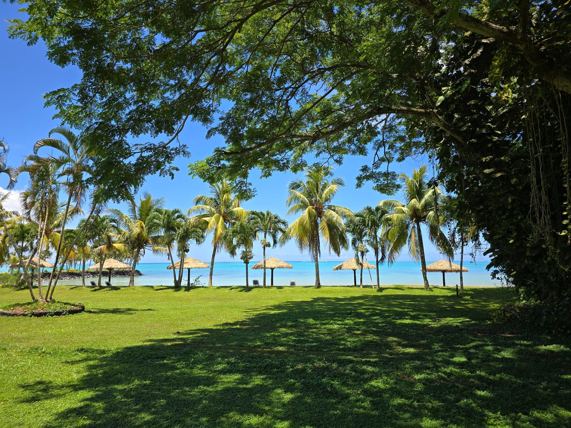 Samoa — Upolu and Savai'i Island Road Trip