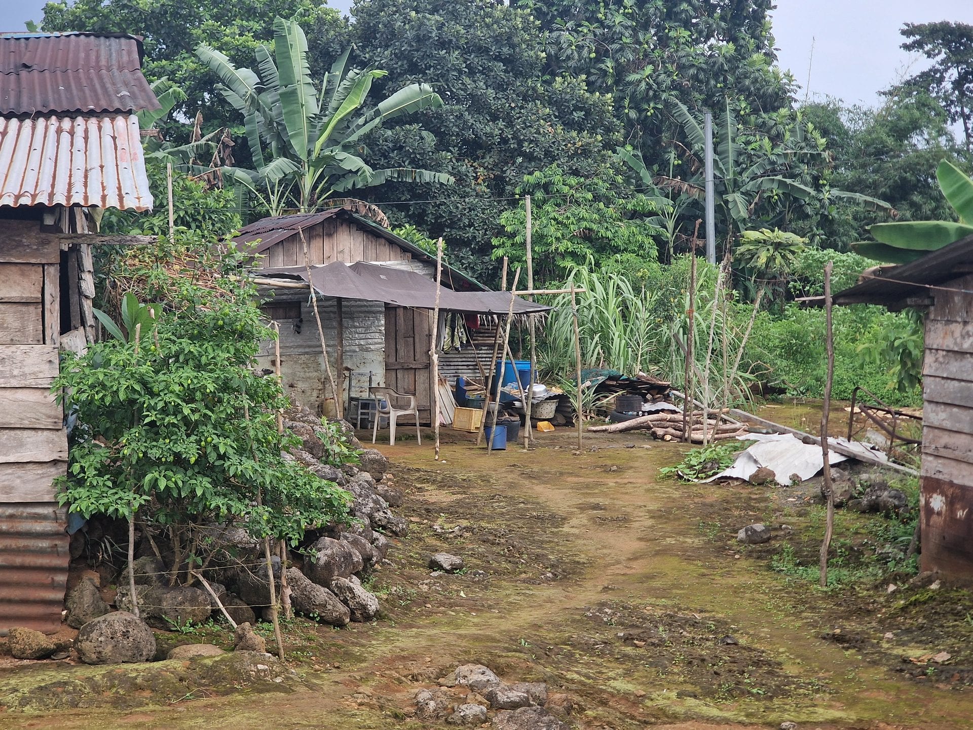 Bioko Island Journey, Equatorial Guinea