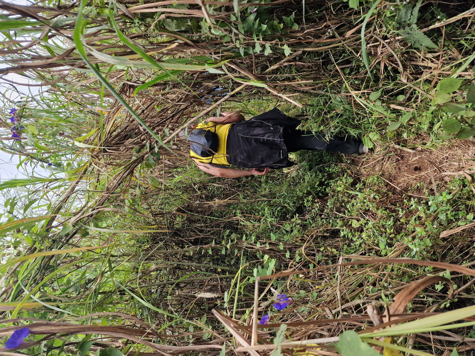 Bioko Island Journey, Equatorial Guinea